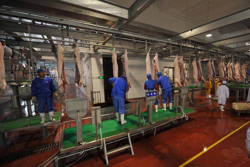 屠宰線網(wǎng)帶輸送設備