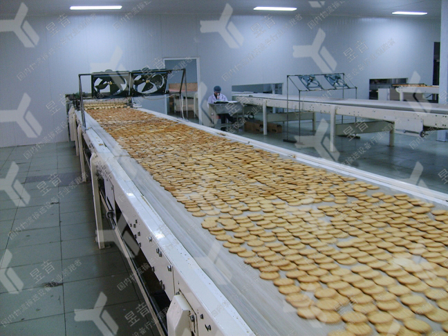 選購(gòu)餅干皮帶輸送機(jī)時(shí)需注意項(xiàng)事