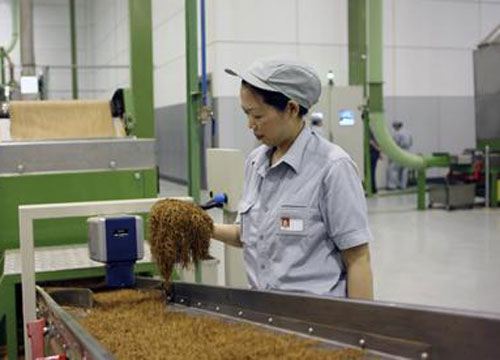 煙草鏈板輸送設(shè)備