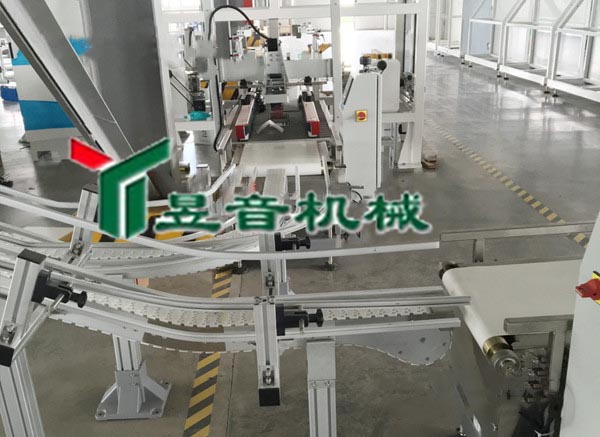 簡述柔性輸送系統(tǒng)中的鏈板安裝注意事項(xiàng)