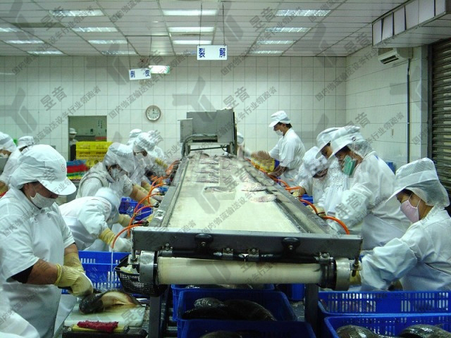 減少食品輸送機零件損傷的概率