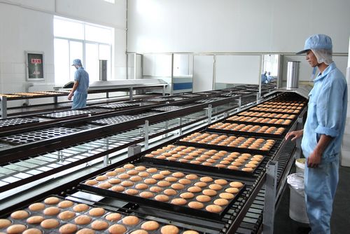 昱音機械：食品輸送機在實踐中謀發(fā)展